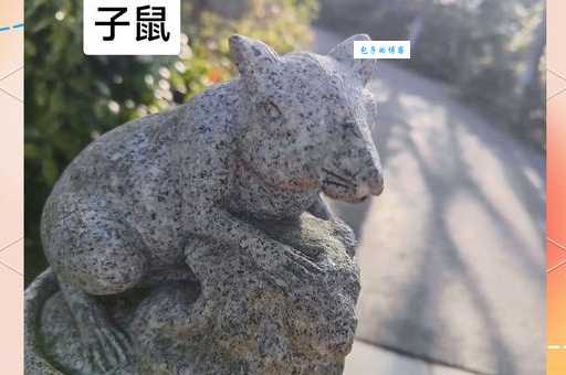 跳梁小丑最佳生肖：是猴还是其他生肖？