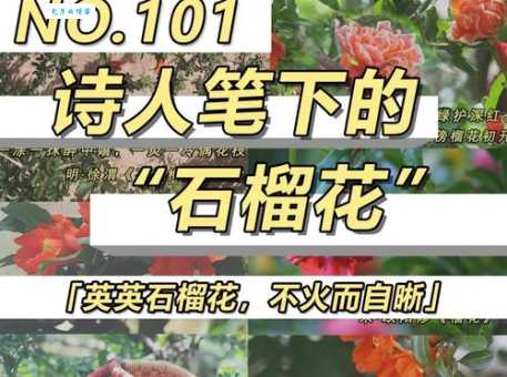 石榴花开慢慢红打一字是什么？答案揭晓！
