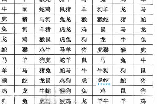 子丑寅亥两相冲是什么生肖？揭秘生肖之间的相克关系