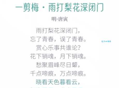 雨打梨花什么意思？详解成语雨打梨花的含义和出处