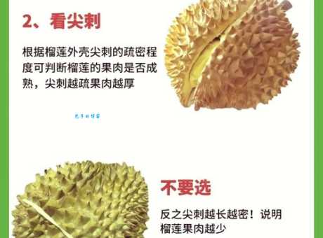 如何挑选榴莲？一看二捏三闻，教你选到完美榴莲