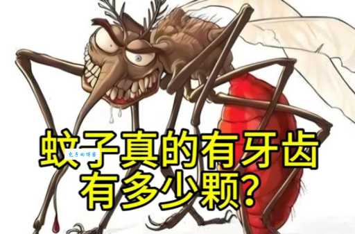 你知道蚊子有多少颗牙齿吗？这答案太意外了！