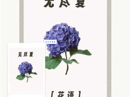 生如夏花是什么意思？浅析其象征意义和人生感悟
