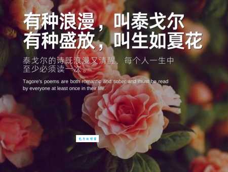 生如夏花是什么意思？浅析其象征意义和人生感悟