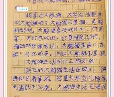 想知道大熊猫能活多久吗？这里有你想要的答案！