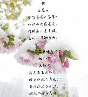 桃花雪是什么寓意？象征着什么美好的事物