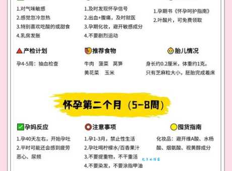 生二胎前必看：孕前检查、饮食、生活习惯调整