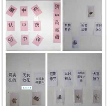 “举头望明月”猜中药名，答案让你意想不到
