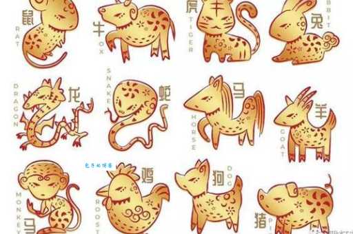 无界限指什么生肖？揭秘生肖背后的神秘含义