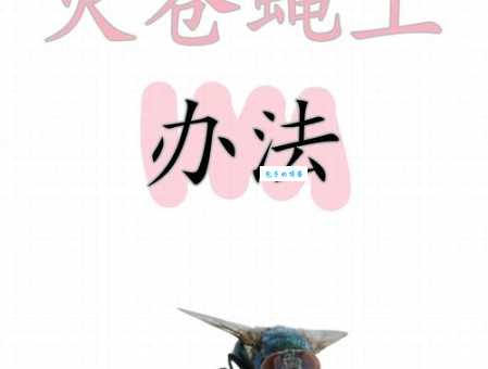 苍蝇碰壁是什么意思及用法？带你轻松掌握