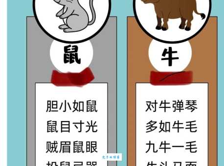 “博硕肥腯”代表什么生肖？详解成语含义及生肖对应