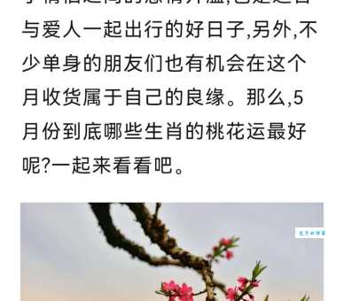 桃花是什么生肖？猪兔桃花运最好？