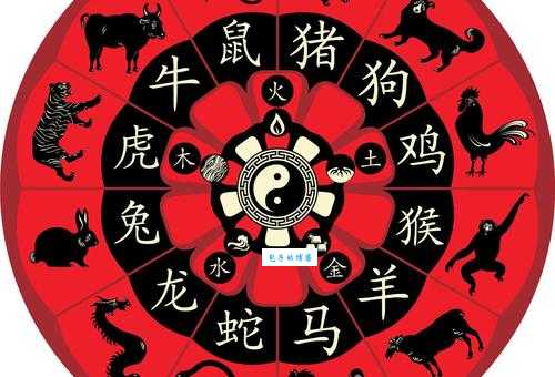 猛龙过江打一生肖，这个生肖最符合！