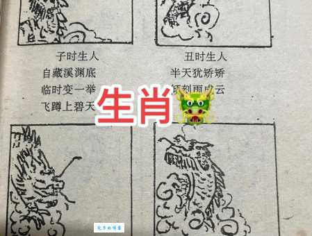 十二生肖中东方法眼是哪个？细说生肖的智慧与象征