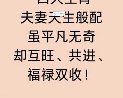 老曾最爱的生肖是谁？他的选择理由是什么
