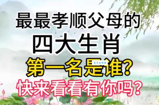 老曾最爱的生肖是谁？他的选择理由是什么