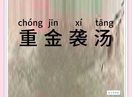 重金袭汤：这个成语表达什么意思？用法和例句详解