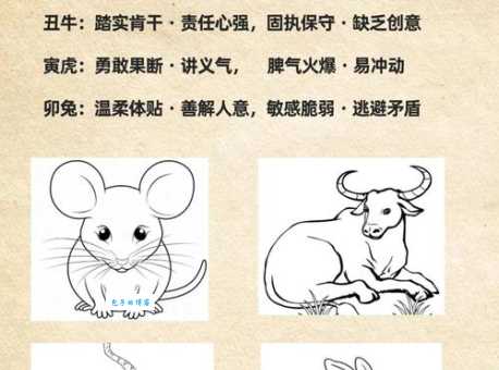 哪个生肖最死心落地？深度解析生肖性格与忠诚度