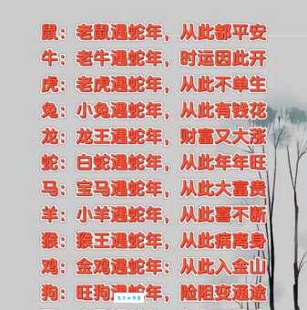 想知道背井离乡最符合的生肖？这里有答案！