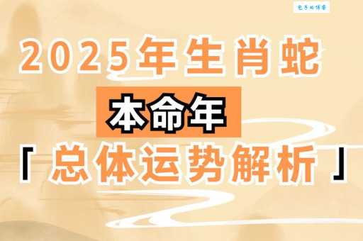 “日慎一日”指的是哪个生肖？深度解析生肖寓意