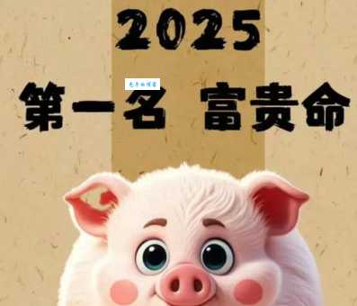 金猪报喜代表什么生肖？寓意财富与吉祥的动物