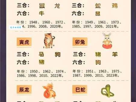 你知道荤荤大端指什么生肖吗？快来了解这其中的生肖秘密