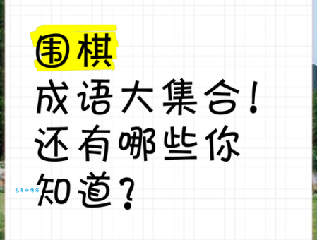 暗中下围棋打一成语是什么？答案揭晓：皂白不分！