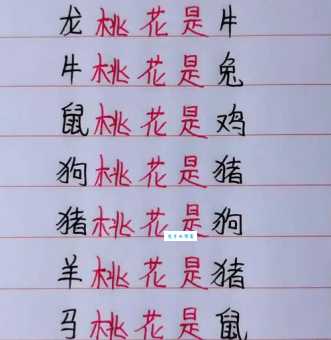 桃花初开猜生肖：几种不同说法大比拼
