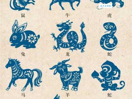 十二生肖中哪些代表白驹过隙？时间飞逝的生肖解读