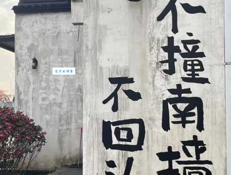 不撞南墙不回头是哪个生肖？揭秘生肖性格与执着