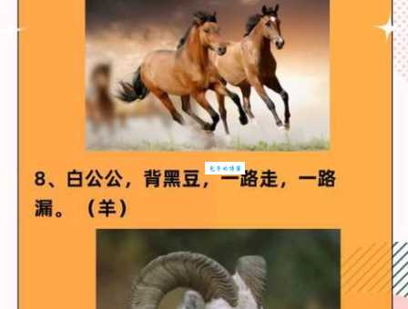 生肖谜语：踟躇不前，它是哪个？