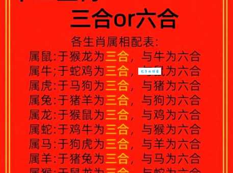 比翼双飞猜一生肖，这个生肖你一定想不到！