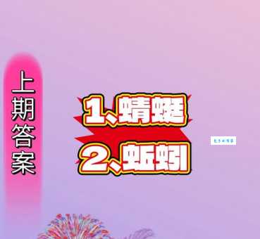 朝思暮想打一动物是什么？答案揭晓！