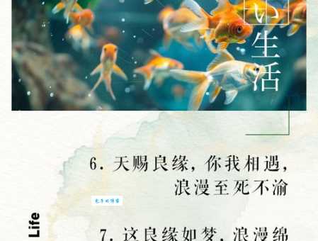 天赐良缘是什么意思？它与“天作之合”有何不同