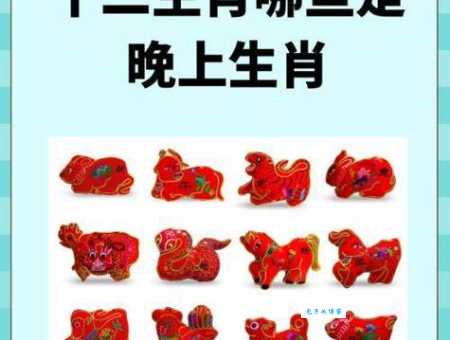 家传户晓指的是哪种生肖动物？详解原因