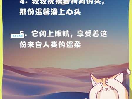 偷偷摸摸是什么意思？一文读懂偷偷摸摸的含义和出处