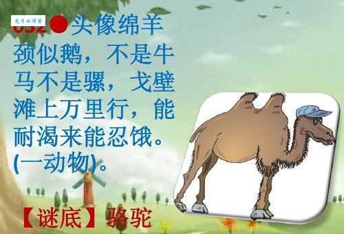 “有马能行千里”字谜详解，快速找到正确答案！