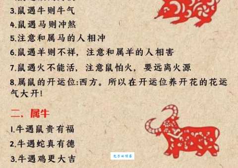 哭笑不得是什么生肖？详解十二生肖中哪些动物最让人哭笑不得