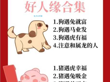 十二生肖里谁是鲸吸牛饮？解析生肖与成语的关系