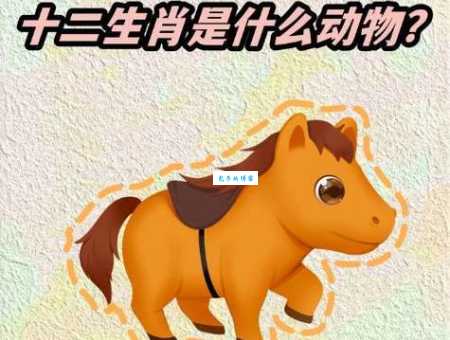 阋墙御侮指的是哪种生肖动物？详解兔虎蛇三种说法