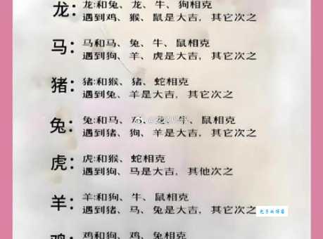 阋墙御侮指的是哪种生肖动物？详解兔虎蛇三种说法