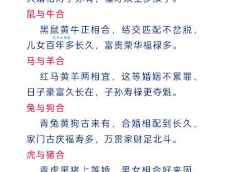 彩翎羽轿与生肖的关联是什么？快速找到正确答案！