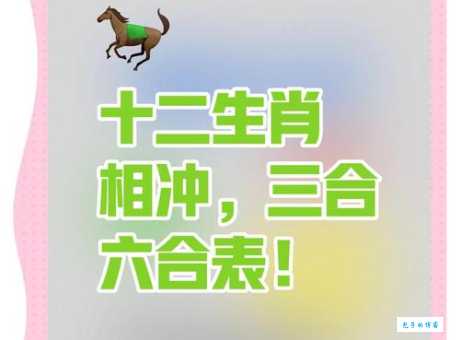 三更半夜代表什么动物？猜数字，趣味生肖谜题！