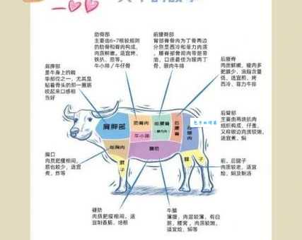 十头牛都拉不住！不进油盐指的是哪个生肖？