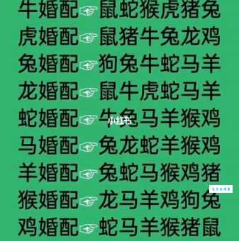 众字对应哪个生肖？最准确的生肖谜题解答！