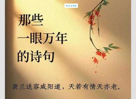 一眼万年是什么意思？揭秘网络流行语的深层含义