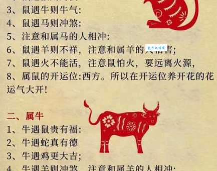 你知道哪些生肖容易东倒西歪吗？快来测测你的生肖！