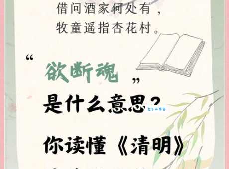 清明前夜打一节日，答案令人意想不到！