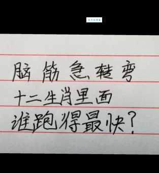 脑筋急转弯：骈四俪六代表什么生肖？