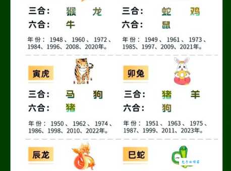 车水马龙指什么生肖？揭秘十二生肖背后的含义